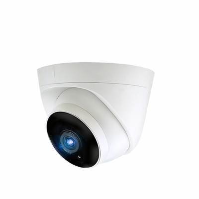 Motion Detection High Reliability AHD IP66 1MP/1.3MP /2MP /3MP Dome Surveillance Security CCTV Camera